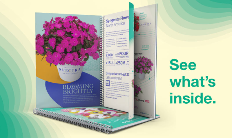 Syngenta Flowers 2021-2022 Annuals Catalog Now Available