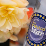 Dümmen Orange Begonia Earns FleuroStar Award