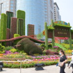 Terra Nova Nurseries’ Varieties Featured in Beijing Plant Displays