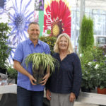 Plant Haven new ownership