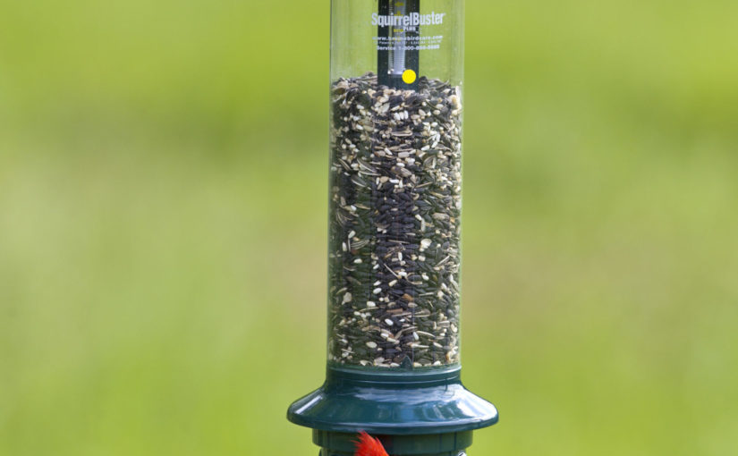 BROME BIRD CARE Bird feeder