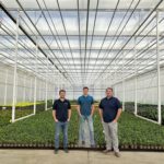 Proven Winners Enters the Houseplants Market with New Partnership