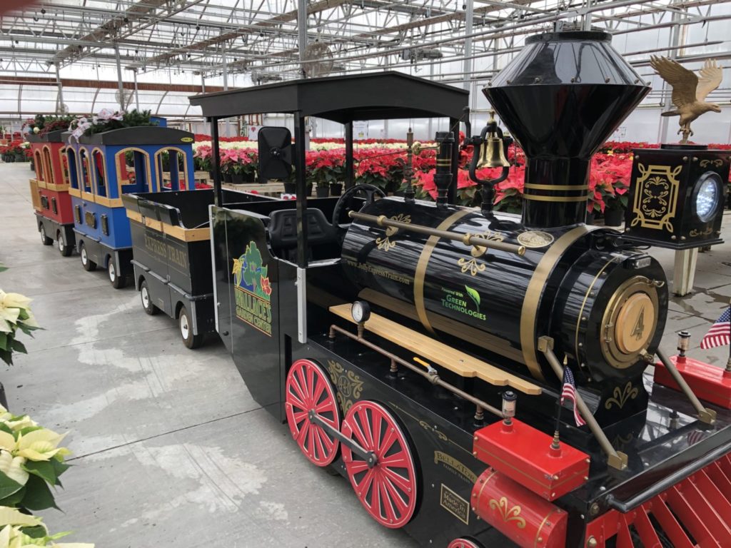 After taking last year off for COVID, the Wallace’s Express Train is back in action to take kids on a colorful tour of the poinsettias in the greenhouse