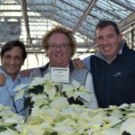 Plantpeddler Announces Results from 2021 Poinsettia Variety Day