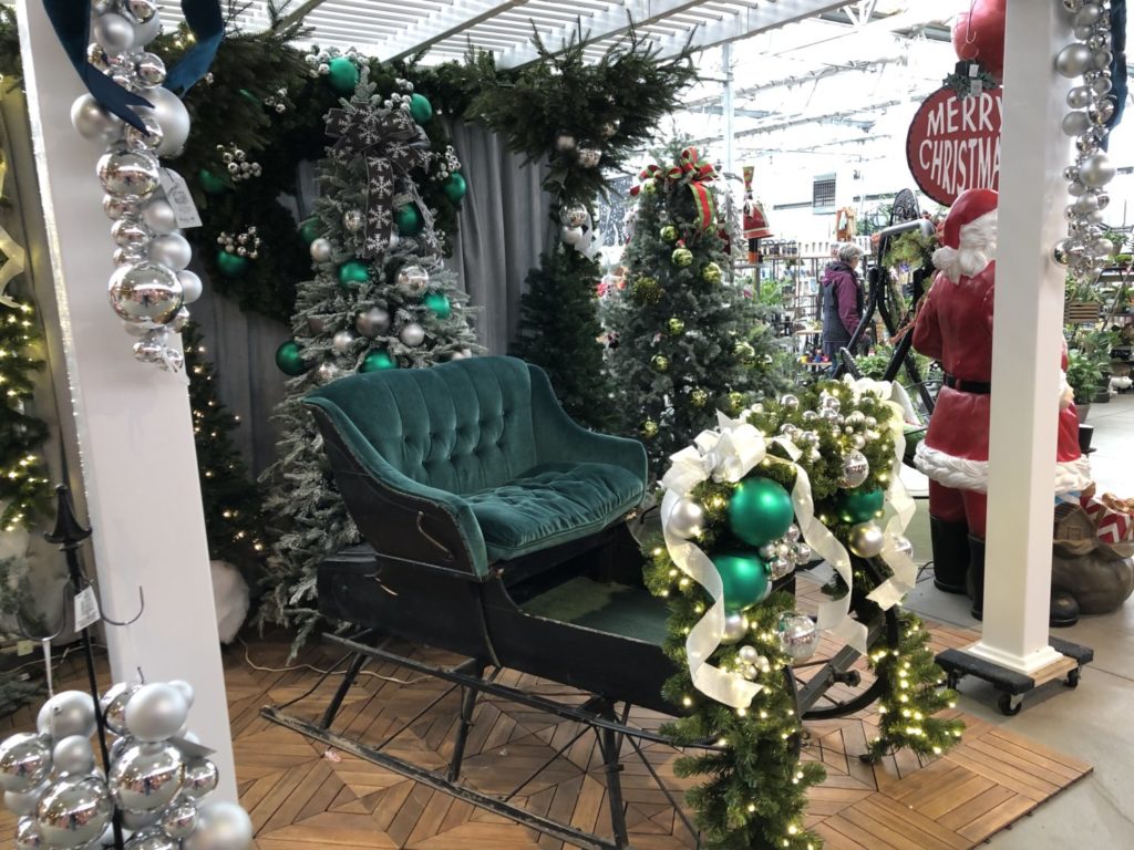 Smile! There are multiple photo ops throughout the store and in the greenhouse, like this beautiful green velvet sleigh or sitting next to Santa with milk and cookies.