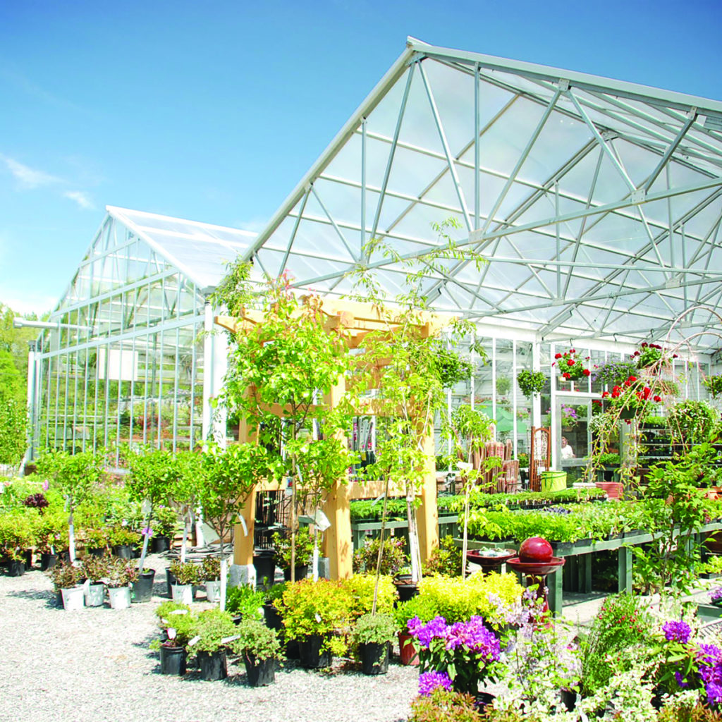 Rimol - NEW - matterhorn-greenhouse-1