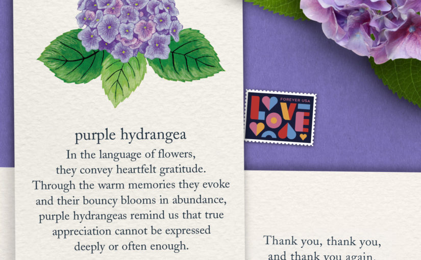 Cardthartic Hydrangea Thank You Card