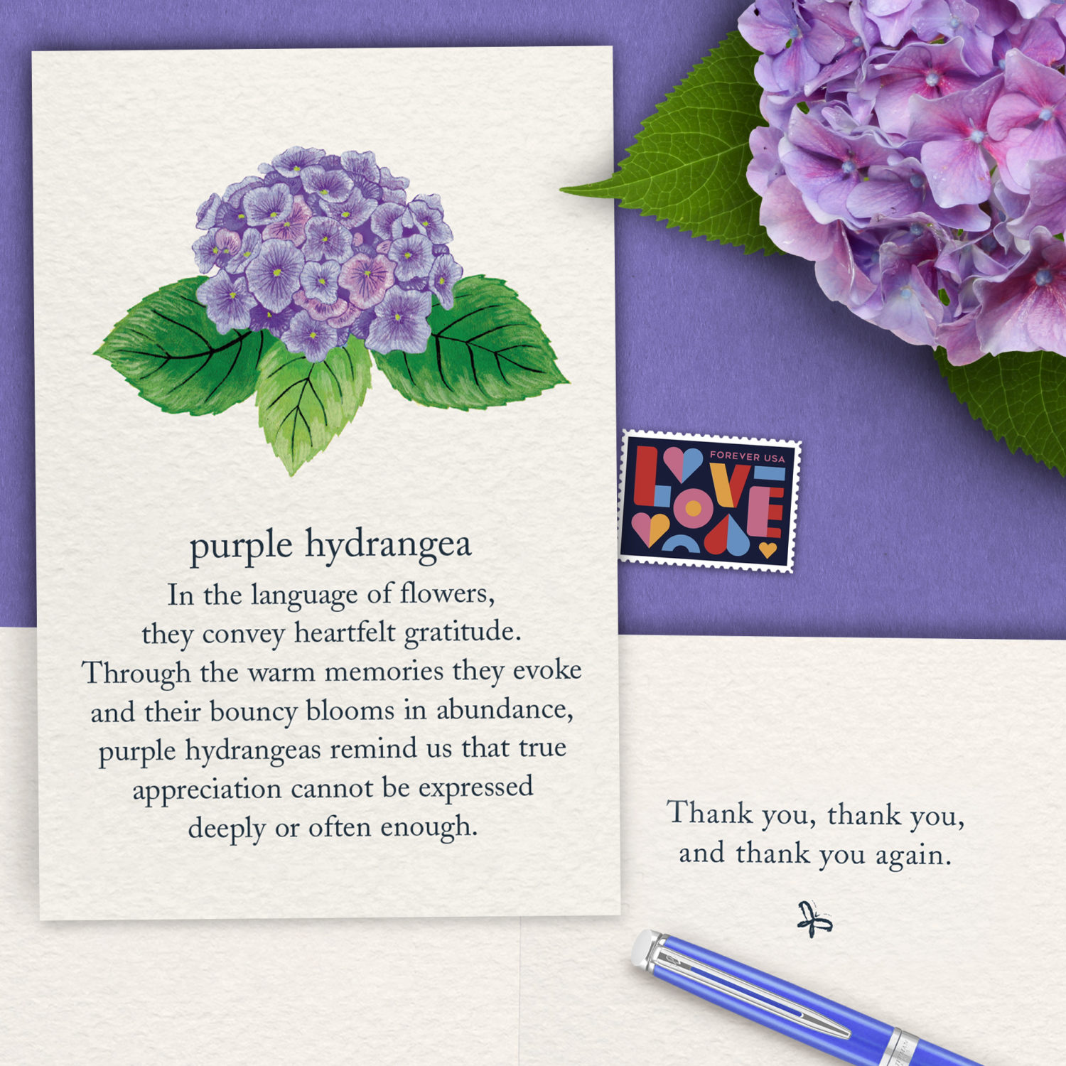 Cardthartic Hydrangea Thank You Card
