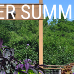 AAS, NGB and Home Garden Seed Association to Host 2022 Summer Summit Reiman