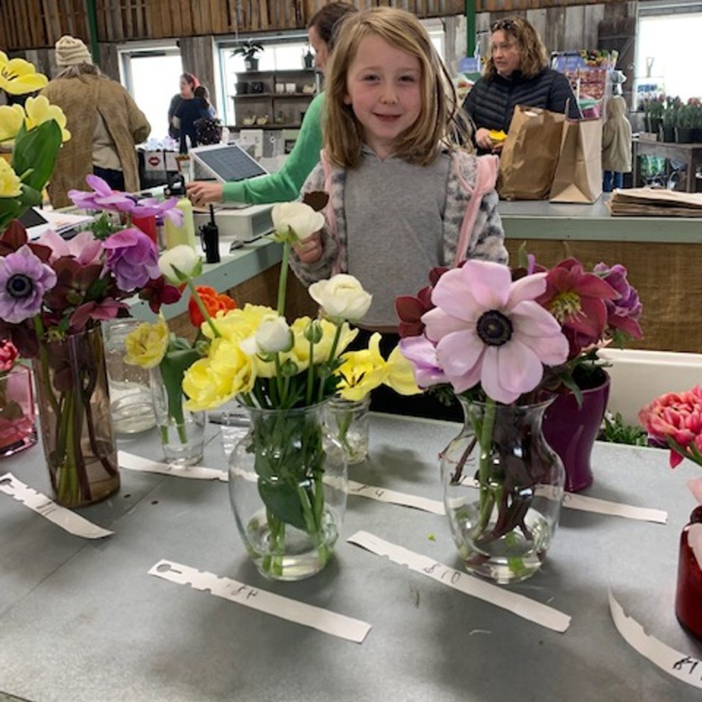 Dutch Mill Magnolia Berbee sells Ohio grown flowers copy