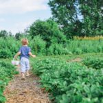 stock KidsGardening Announces Activities to Promote Kids Garden Month