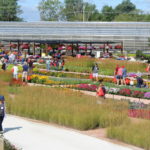 Ball Seed Customer Days Scheduled for July