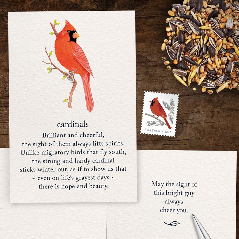 Cardthardic greeting cards Cardinal