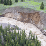 Dümmen Orange to Donate to Yellowstone Rebuilding Efforts