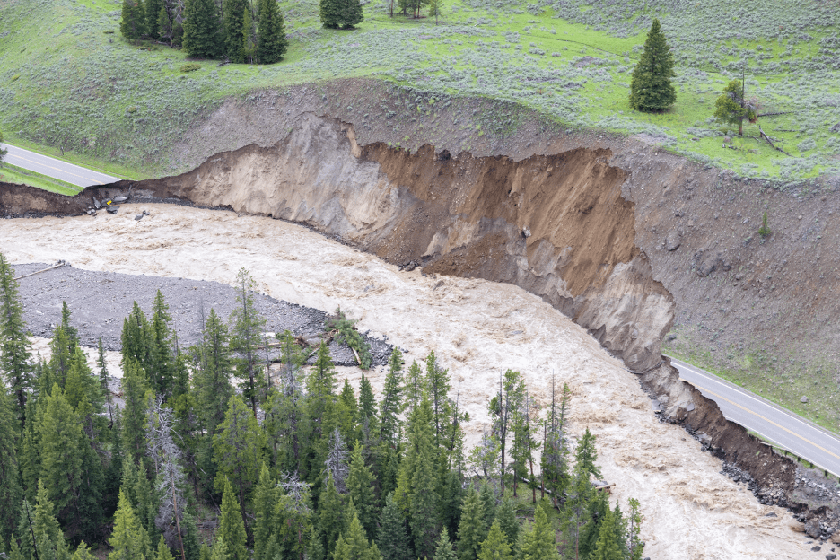 Dümmen Orange to Donate to Yellowstone Rebuilding Efforts