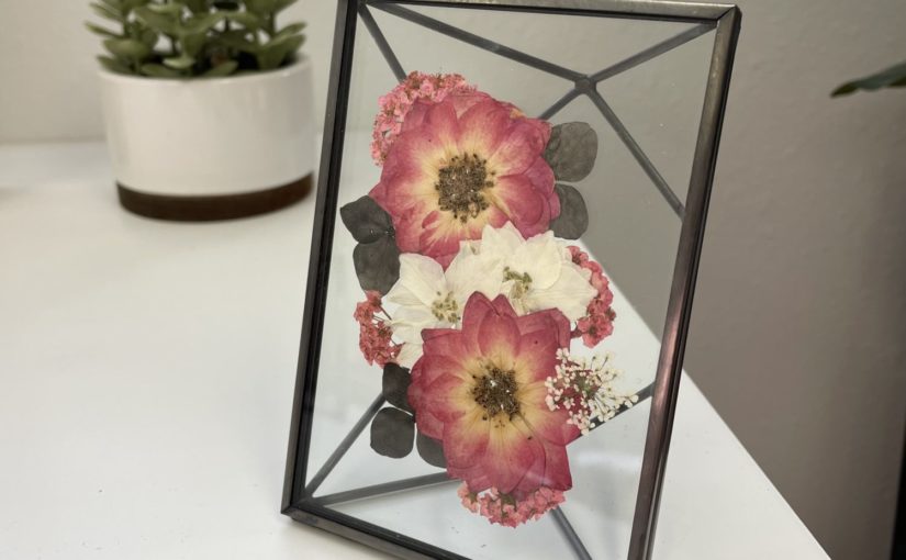 Sunnie Lane Suncatchers