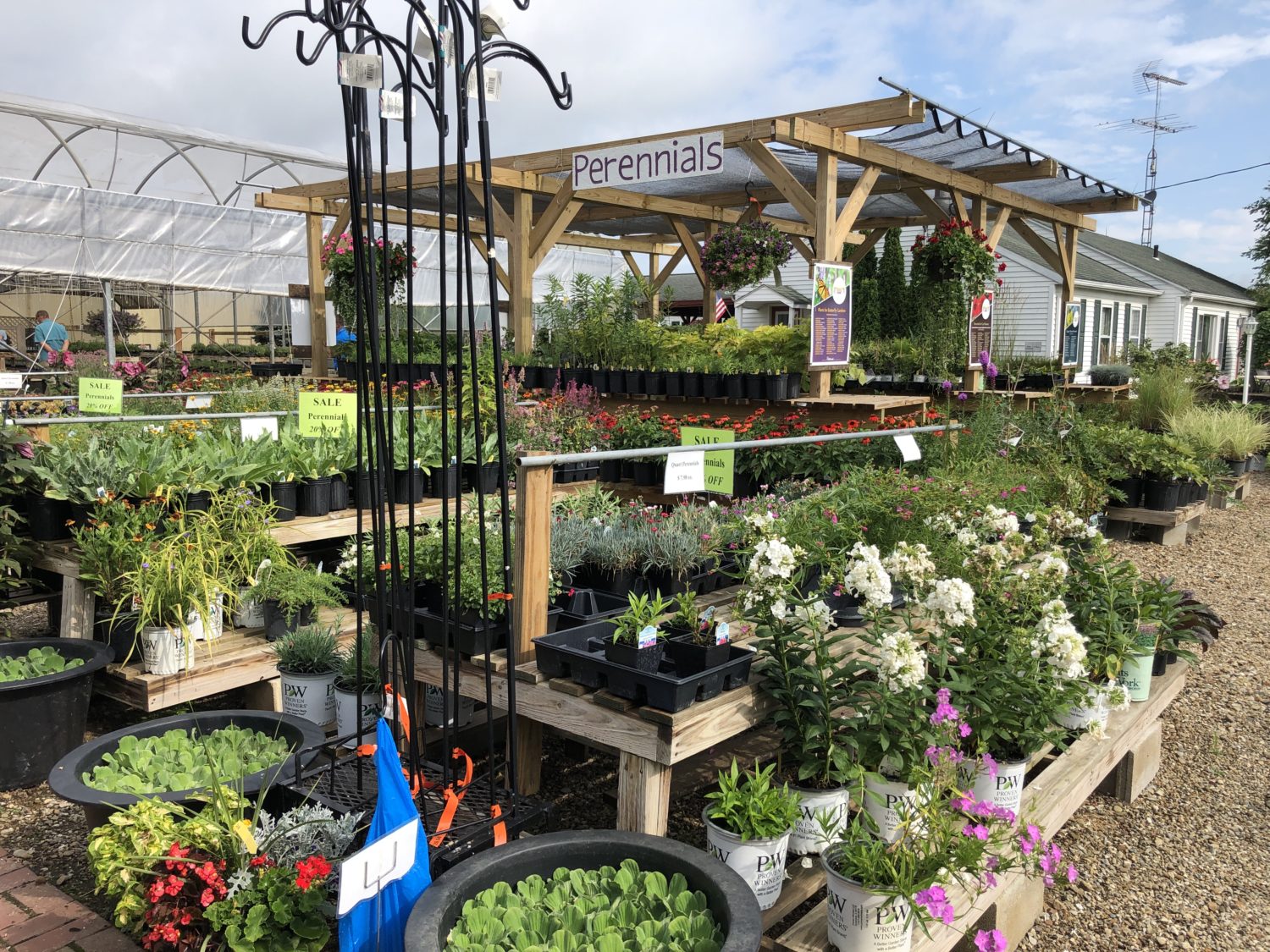 Lush perennials on benches of varying heights with clear signage make it easy for customers to see the selection.