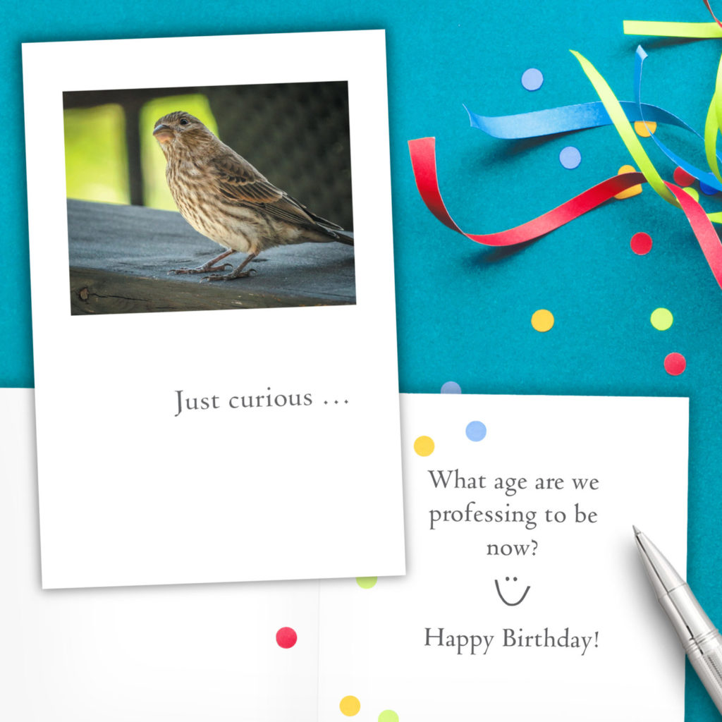 Cardthartic birthday card Finch-Birthday-Flat-Lay