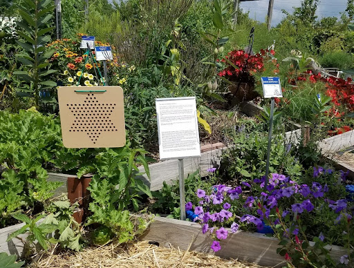 AAS Third Place Winner (tie)- Master Gardener Association of Tippecanoe County Display Garden, Lafayette, Indiana