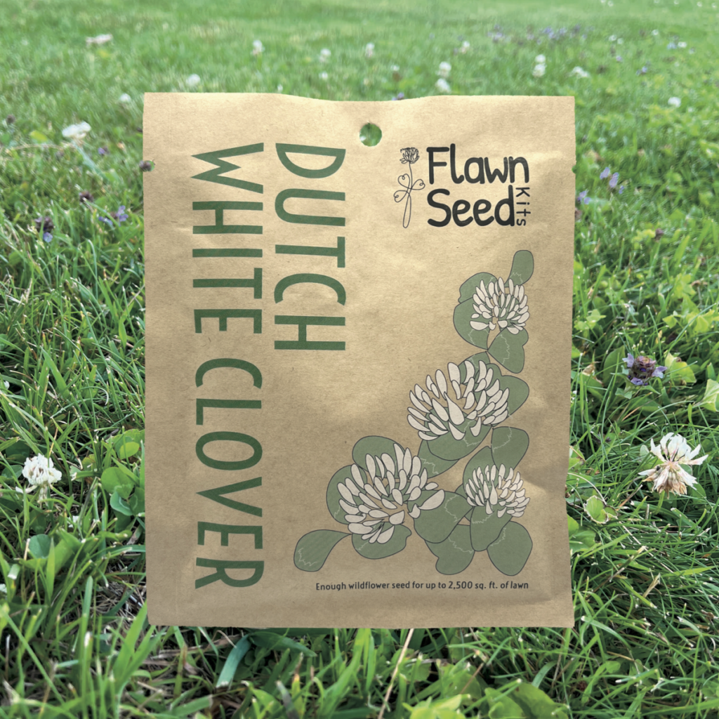 Flowering Lawn seed kits