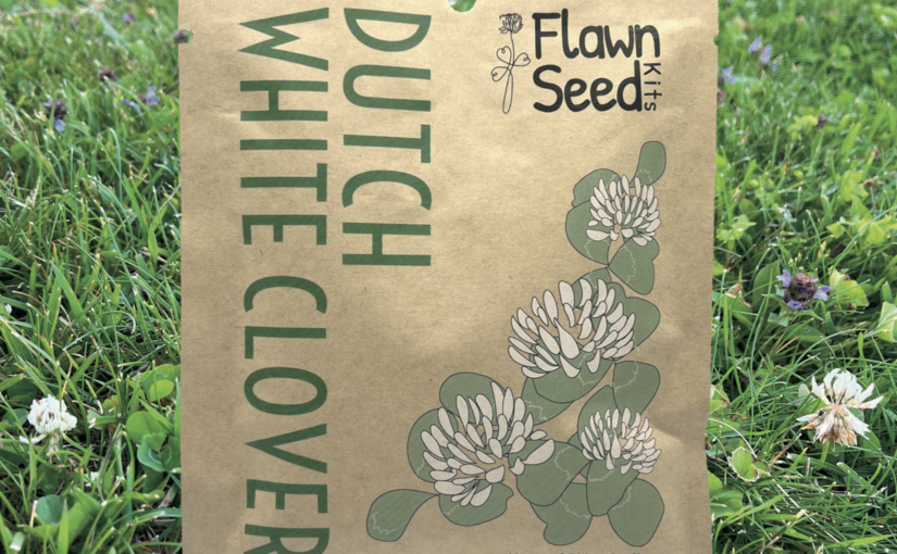 Flowering Lawn seed kits