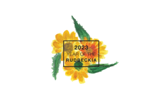 National Garden Bureau's 2023 perennial of the year is the Year of the Rudbeckia