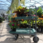 cart green goods Family Tree Nursery Shawnee Kansas