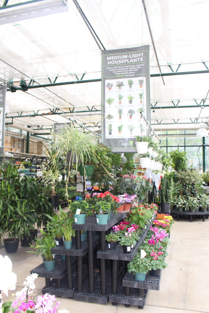 Trending in Milwaukee Lawn & Garden Retailer