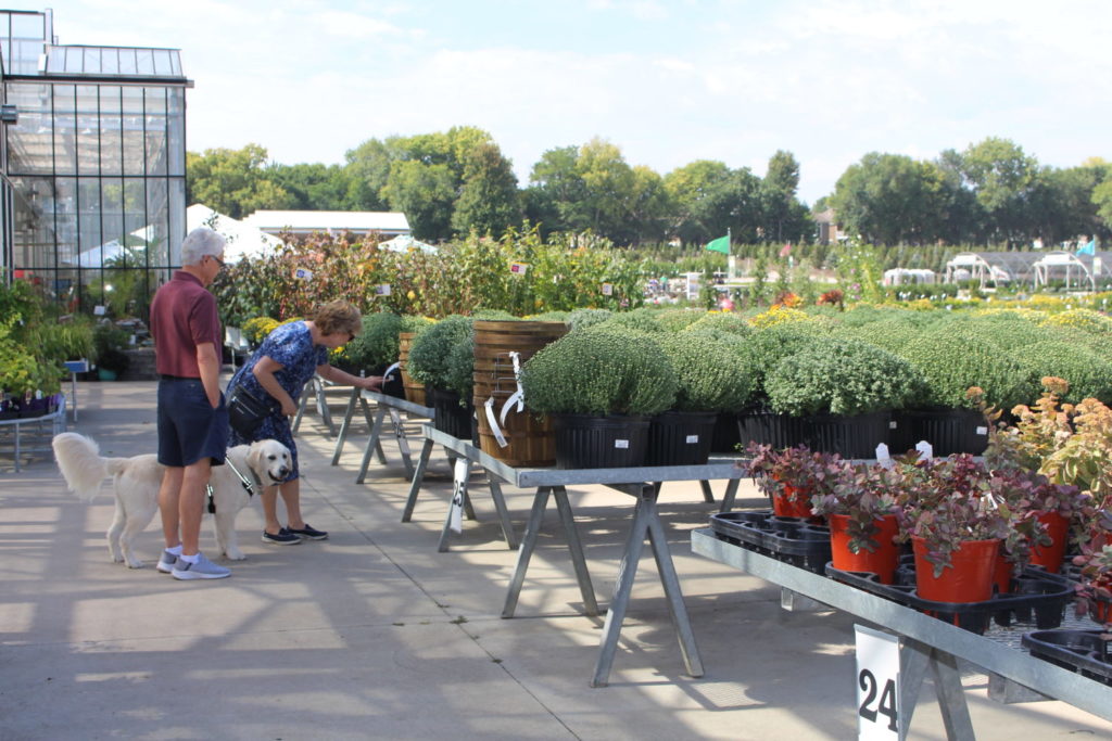 Suburban Lawn and Garden Kansas shopping for plants dog green goods