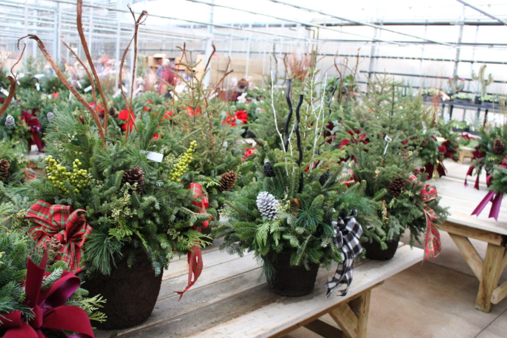 Gensler Gardens Holiday Containers