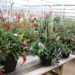 Gensler Gardens Holiday Containers