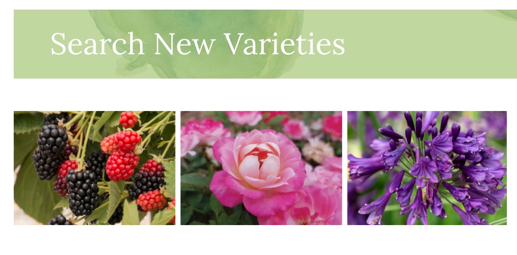 NGB Publishes 2023 New Varieties Resources