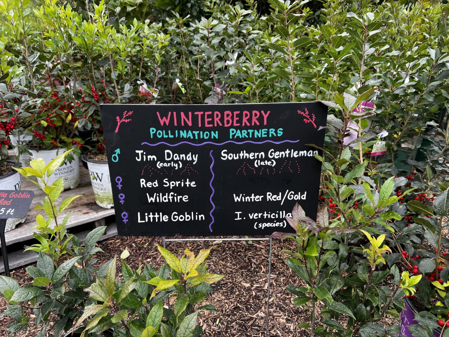 Natureworks Garden Center signs - Lawn & Garden Retailer