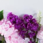 New Study Explores Consumer Perceptions of Floral Industry Sustainability