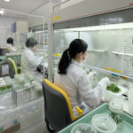 Suntory Flowers Opens New Innovation Center