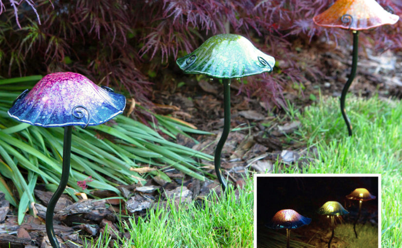 Echo Valley Mushroom Lights