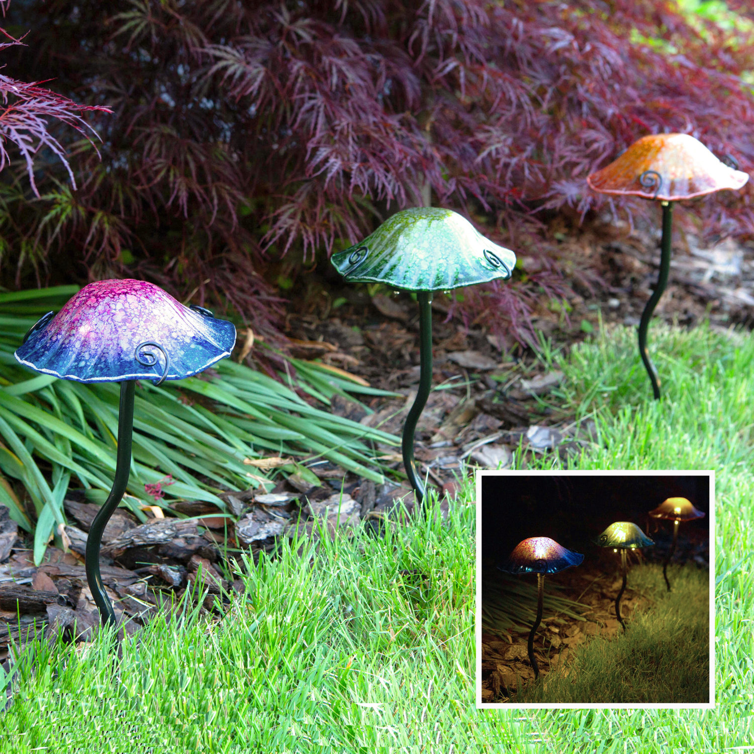 Echo Valley Mushroom Lights