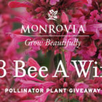 Monrovia Announces Pollinator Plant Giveaway