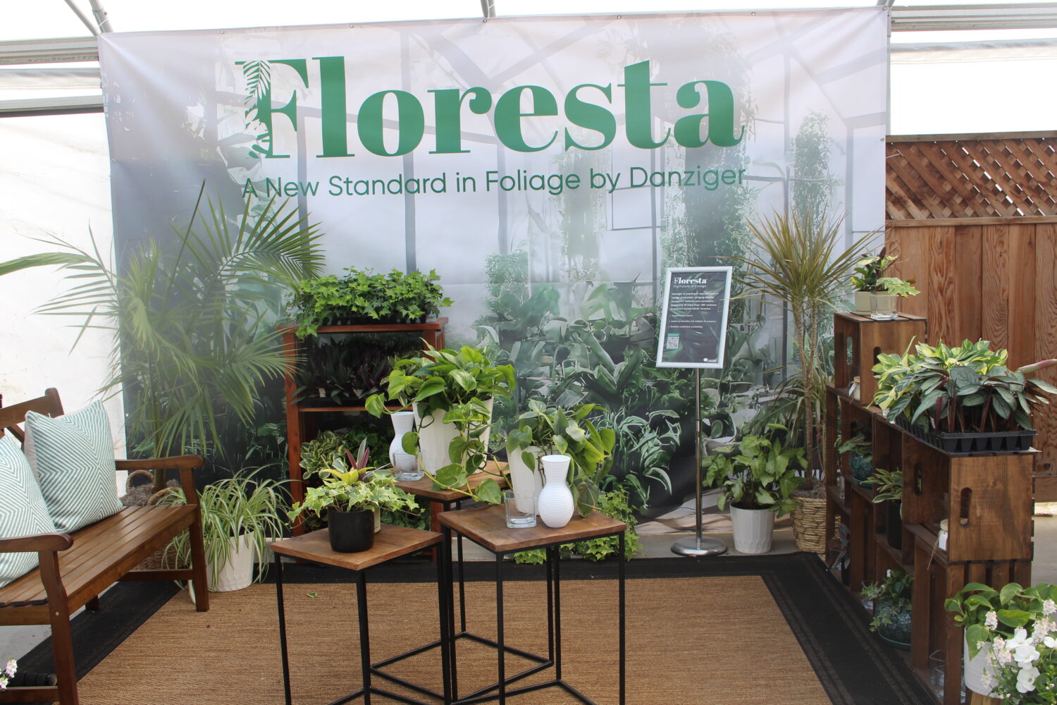 Danziger's Floresta foliage program arranged in a retail-worthy display.