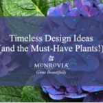 Monrovia’s on-demand webinar showcases timeless design trends and must-have plants