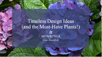 Monrovia’s on-demand webinar showcases timeless design trends and must-have plants