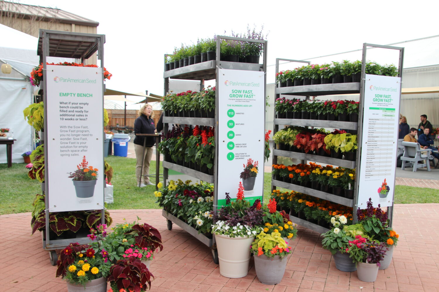 PanAmerican Seed introduces ‘Sow Fast. Grow Fast.’ program Lawn