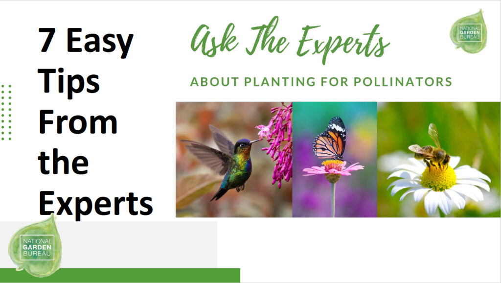 NGB’s new e-book on pollinators can be used by consumers and promoted by garden centers to educate customers and their own staff. 
