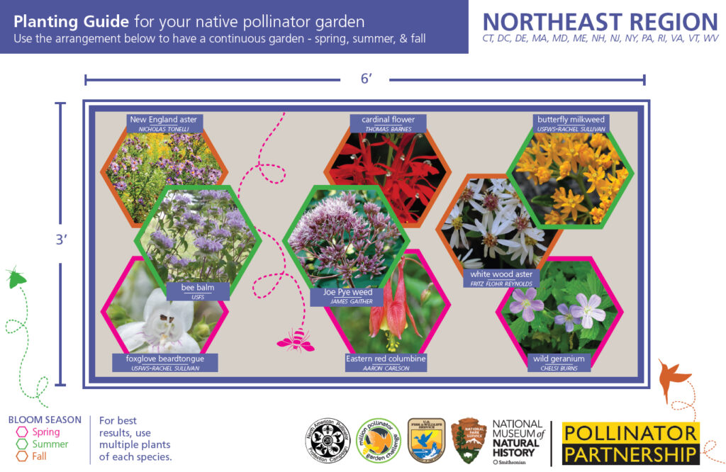 Pollinator Partnership offers Native Pollinator Garden Recipe cards.