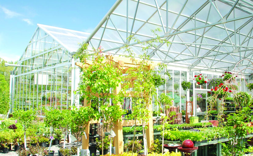 Rimol - matterhorn-greenhouse