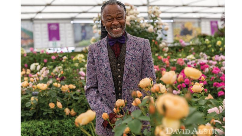 David Austin Roses new bloom for Black celebrity gardener