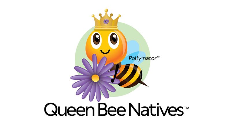 ueen Bee Natives™ is comprised of retail-ready pollinator-friendly native perennials.