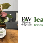 Leafjoy and Proven Winners