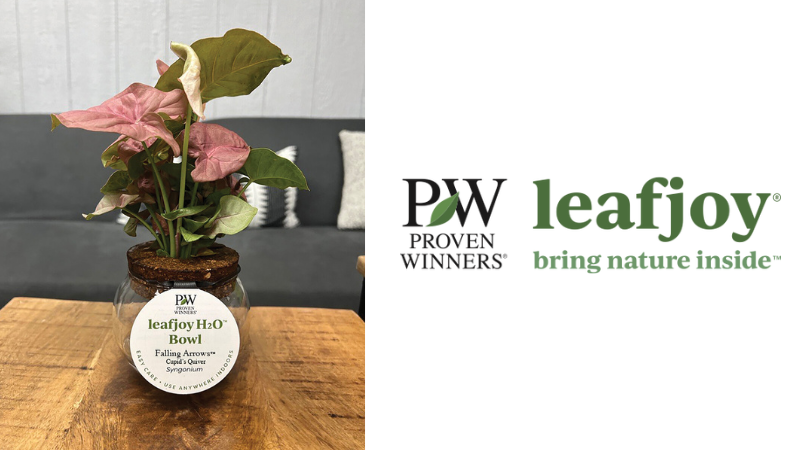 Leafjoy and Proven Winners