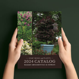Star Roses and Plants publishes 2024 Woody Ornamentals & Edibles Catalog cover